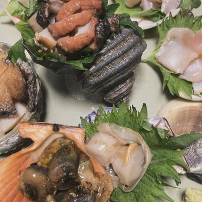 専門魚貝料理大辞典 楽天市場】【中古】専門魚貝料理大事典 春・夏・秋・冬・萃の5冊