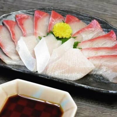 専門魚貝料理大辞典 貝専門店 海神のご予約（谷町・谷町四