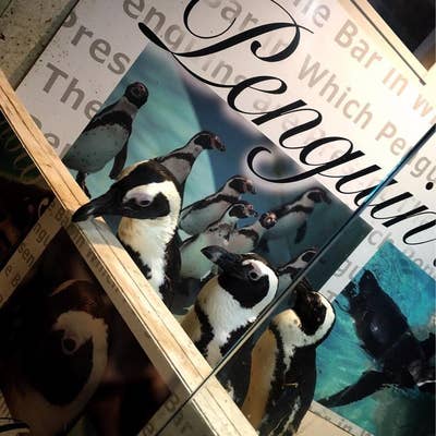 ペンギンのいるBAR（池袋西口/居酒屋） - Retty（レッティ）