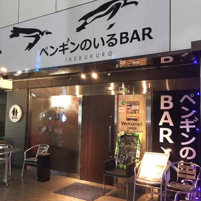 池袋のペンギン ペンギンのいるBAR 池袋 - Updated August 2025 - 56 Photos