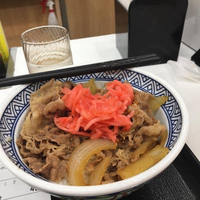 吉野家　赤どんぶり　サラシアどんぶり 吉野家 赤どんぶり サラシアどんぶり サラシア牛丼 | 吉野家公式