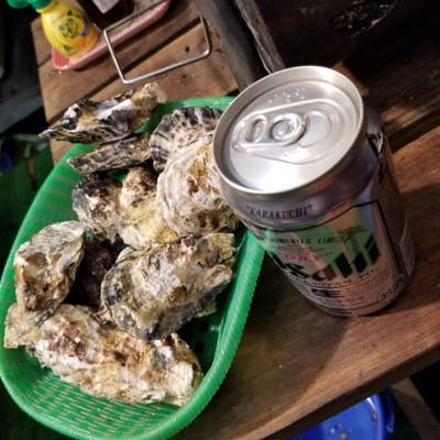 ３日以内に発送します ★ 焼き鳥台★海鮮魚介★牡蠣小屋★掃除よりも買い替え★LP 3日以内に発送します ☆ 焼き鳥台☆海鮮魚介☆牡蠣小屋☆掃除