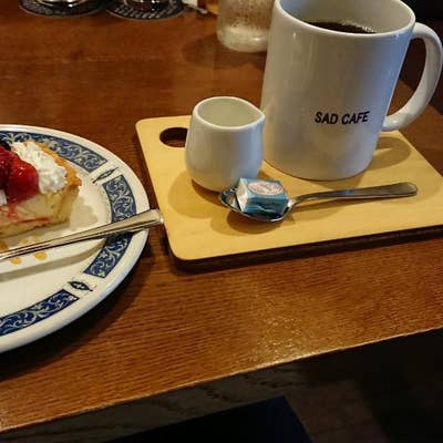 紙ジャケット 5枚 サッド・カフェ SAD CAFE  悲しき酒場の唄他 SAD CAFE / サッド・カフェ商品一覧｜OLD ROCK｜ディスク