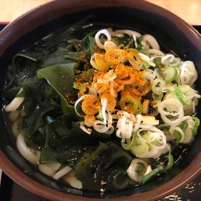 うどんまる うどんまる （セルフうどんまる） - 鳥取/うどん | 食べログ