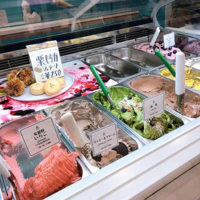 ジェラートファクトリー セット　gelato factory ヨコスカジェラートファクトリー:YOKOSUKA GELATO FACTORY