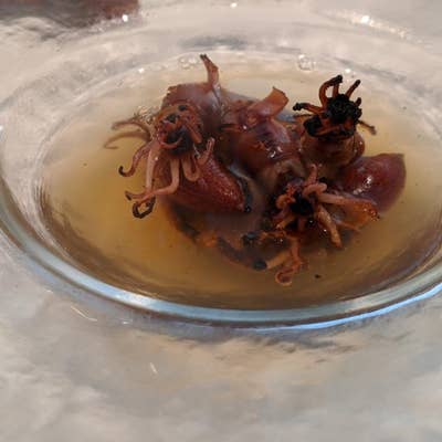 てんとう虫 築地イタリアン（築地/イタリアン） - Retty（レッティ）