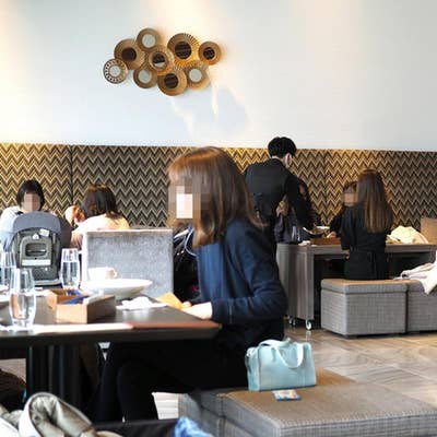 キュイジーヌ フランセーズ ラ シャンス（豊洲/フランス料理