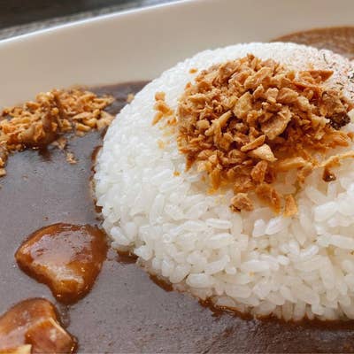 かれー様 希少】【絶版】吉田遠志 動物絵本シリーズ《アフリカ》14冊