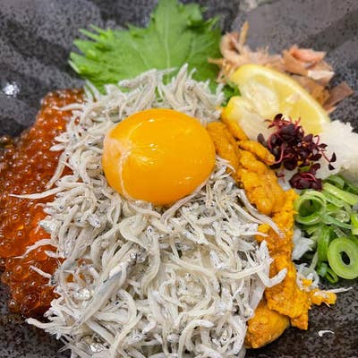 しらすさん専用 満足生しらすセット（生100g×4パック） 【冷凍まとめて発送