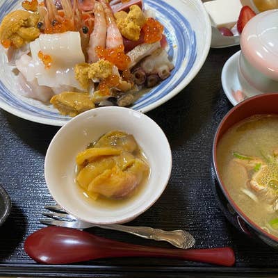 うみねこ亭の休日 Amazon.co.jp: グランディア うみねこ亭の休日 復刻版 : ホーム