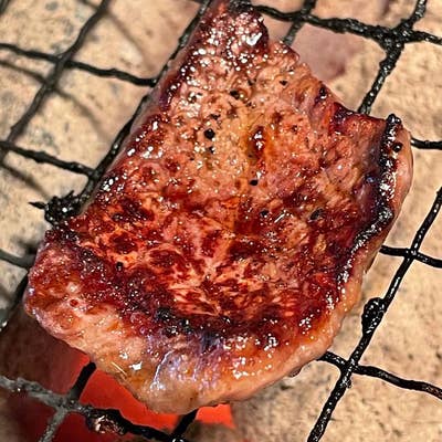 焼肉さん ライソン おひとり網焼肉グリル KDGC-008B 1個（直送品） - アスクル