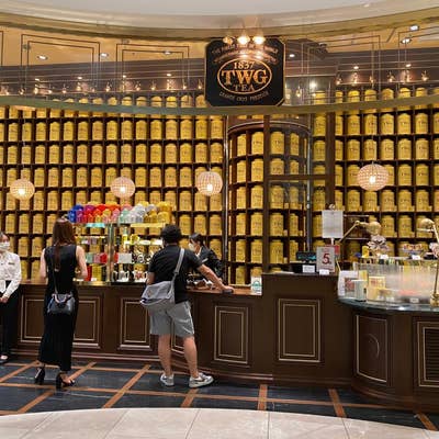TWG 名古屋限定 グランドドラゴンティー 紅茶 PACKTB6002_LL.jpg