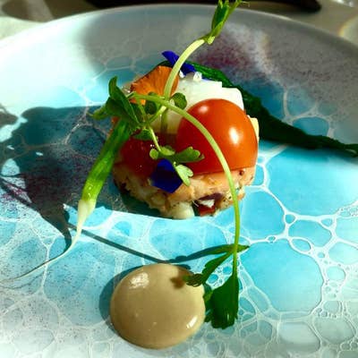 フランス料理2005年 ラ・クイジーヌ・フランセーズ・ジャポネ フランス料理2005年 ラ・クイジーヌ・フランセーズ・ジャポネ