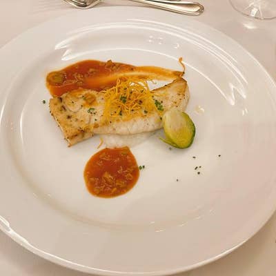 フランス料理 festile1sum.jpg