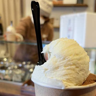 らぶちゃお　ジェラート　りんごバターアイス ジェラート #小金井 #長野 #りんご