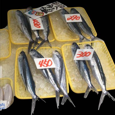 庄内観光物産館 おさかな市場（鶴岡/お土産） - Retty（レッティ）