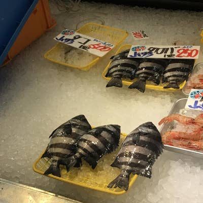 庄内観光物産館 おさかな市場（鶴岡/お土産） - Retty（レッティ）