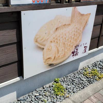 新品 希少 定4万　大倉屋　ヘチリール　ケヤキ　けやき　欅　黒鯛　天然木 新品 希少 定価4.5万 大倉屋 ヘチリール けやき 欅 黒鯛 天然木
