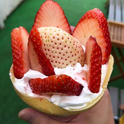 ストロベリー工房Hosoya いちご三兄弟（真岡/かき氷） - Retty