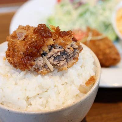 【中古】 料理が１０倍おもしろくなるキッチンの裏ワザ/青春出版社/キッチン生活向上委員会 料理が10倍おもしろくなるキッチンの裏ワザ 中古本・書籍