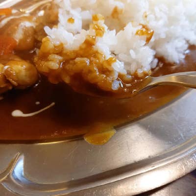 手のひら イラスト フリー カレー屋ケンちゃん」販促用B5サイズ