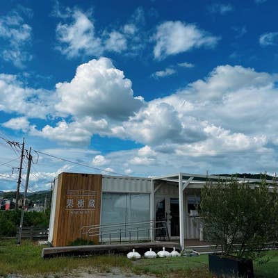 朝倉マルシェ様 あさくらマルシェ」朝倉市に移住した方のステキなお店が大集合