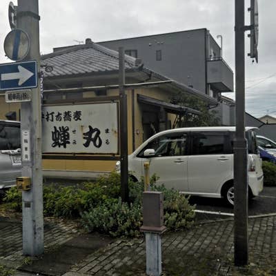 能面 蝉丸(せみまる) 能面 蝉丸(せみまる) 蝉丸（せみまる） : 児玉如橒（こだまにょ