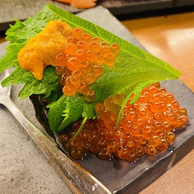 鮨 酒 肴 杉玉 お初天神（梅田/居酒屋） - Retty（レッティ）