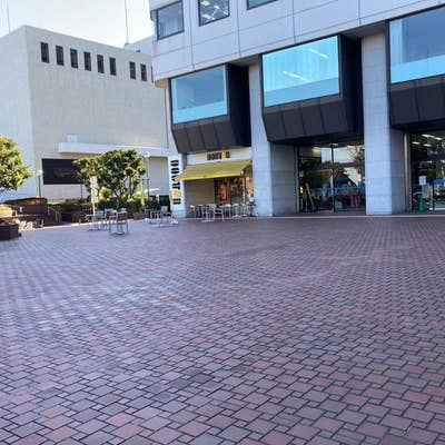 ドトールコーヒーショップ 産業貿易センター店（元町・中華街