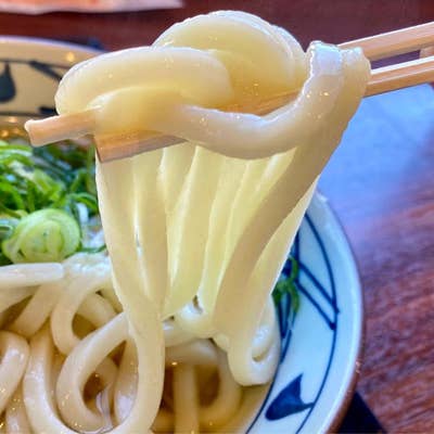 丸亀製麺 牛久店（牛久・龍ヶ崎/うどん） - Retty（レッティ）