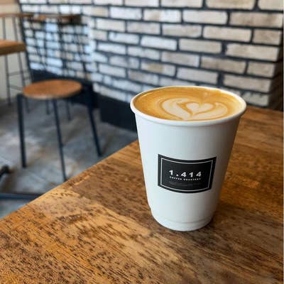 コーヒーの木 2点 北キプロス ソマリランド さそり座 1.414 Coffee Roastery