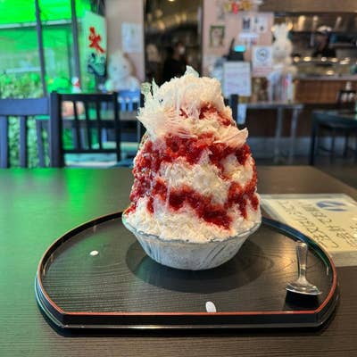 雪うさぎ HANSA（ぬいぐるみ） BH4672 ユキウサギ HANSA ゆきうさぎ 雪兎