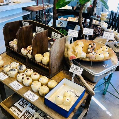 しのぱん 町田市】ムッチリとした食感が魅力！ 多摩境にオープンした