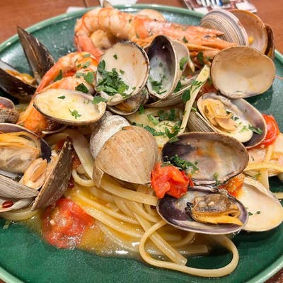 19冊セット♪プロのためのわかりやすいイタリア料理／老舗トラットリアの絶品 老舗トラットリアの絶品イタリアンレシピ | 橘 利男 |本 | 通販