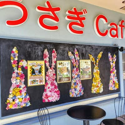 うさぎcafe うさぎCafe - 三崎口/ソフトクリーム | 食べログ