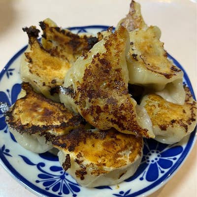 餃子 財宝 (ポイント2倍) 餃子 冷凍 お取り寄せ かごしま夢幻豚