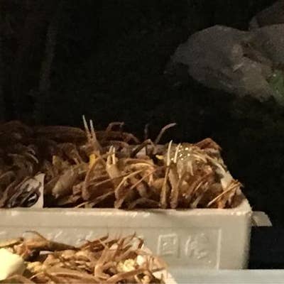みくに温泉 内湯の宿 ばんこ 三国 旅館 Retty