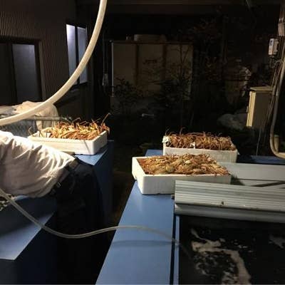 みくに温泉 内湯の宿 ばんこ 三国 旅館 Retty