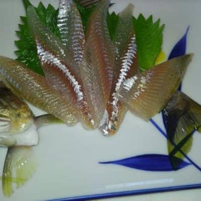 鯉西つけば 上田 魚介 海鮮料理 Retty 鯉西つけば 上田 魚介 海鮮料理 Retty