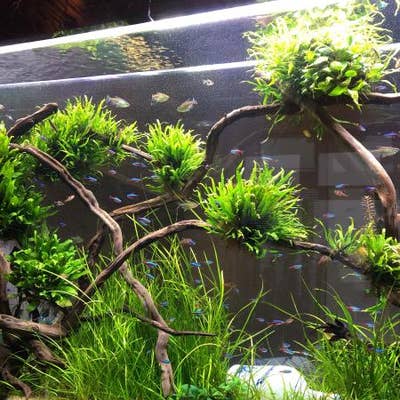 アクアリウム カフェ アフィニティ 海老名 ダイニングバー Retty