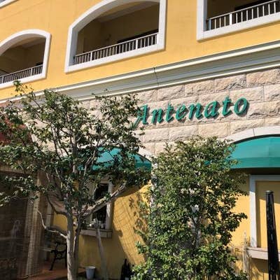 アンテェナアト 弥生が丘店 鳥栖 イタリアン Retty