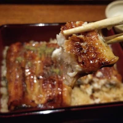滋養料理 山法師 箱根 創作料理 Retty