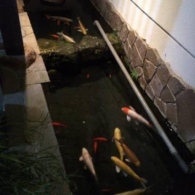 京風かに料理 和音 川西 かに料理 Retty