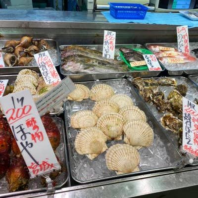 角 場 魚類 川口