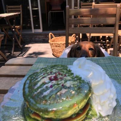 カフェ 坂の下 鎌倉 カフェ Retty