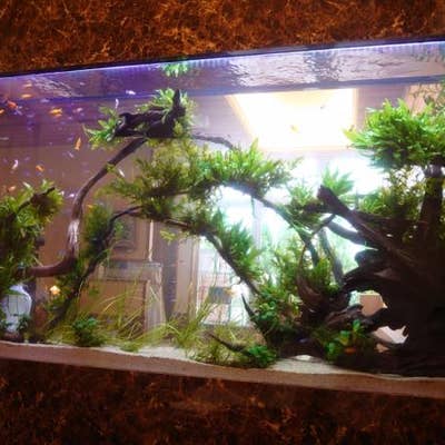 アクアリウム カフェ アフィニティ 海老名 ダイニングバー Retty
