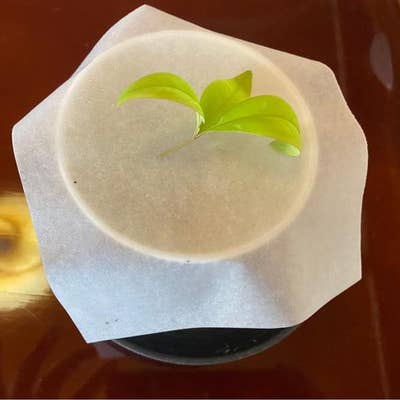 与し田 稲沢 日本料理 Retty