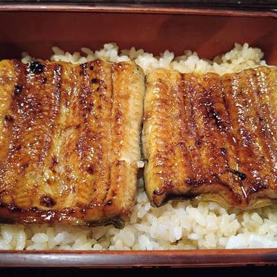 滋養料理 山法師 箱根 創作料理 Retty