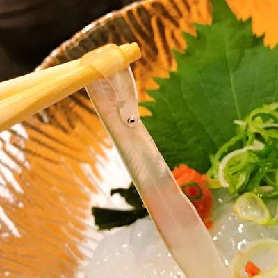 ねた市 福島店 福島 寿司 Retty