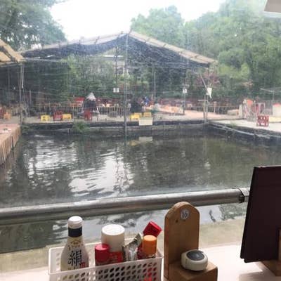 つり堀 武蔵野園 永福町 浜田山 久我山 定食 Retty